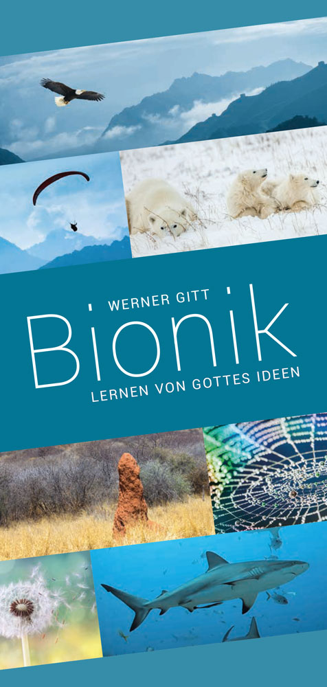 Bionik: Lernen von Gottes Ideen