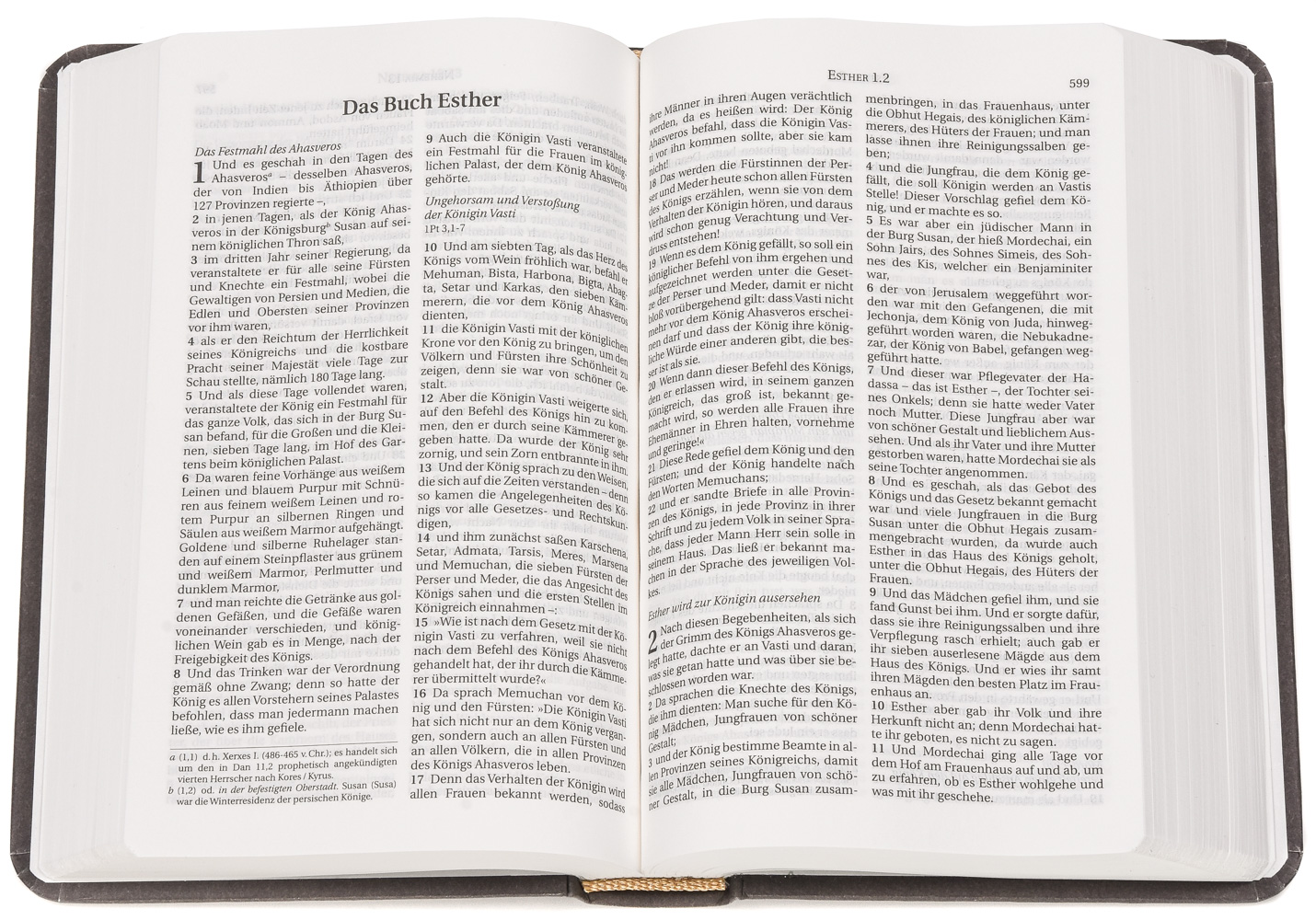 Die Bibel – Schlachter 2000 (Miniaturausgabe in Antikleder-Optik)