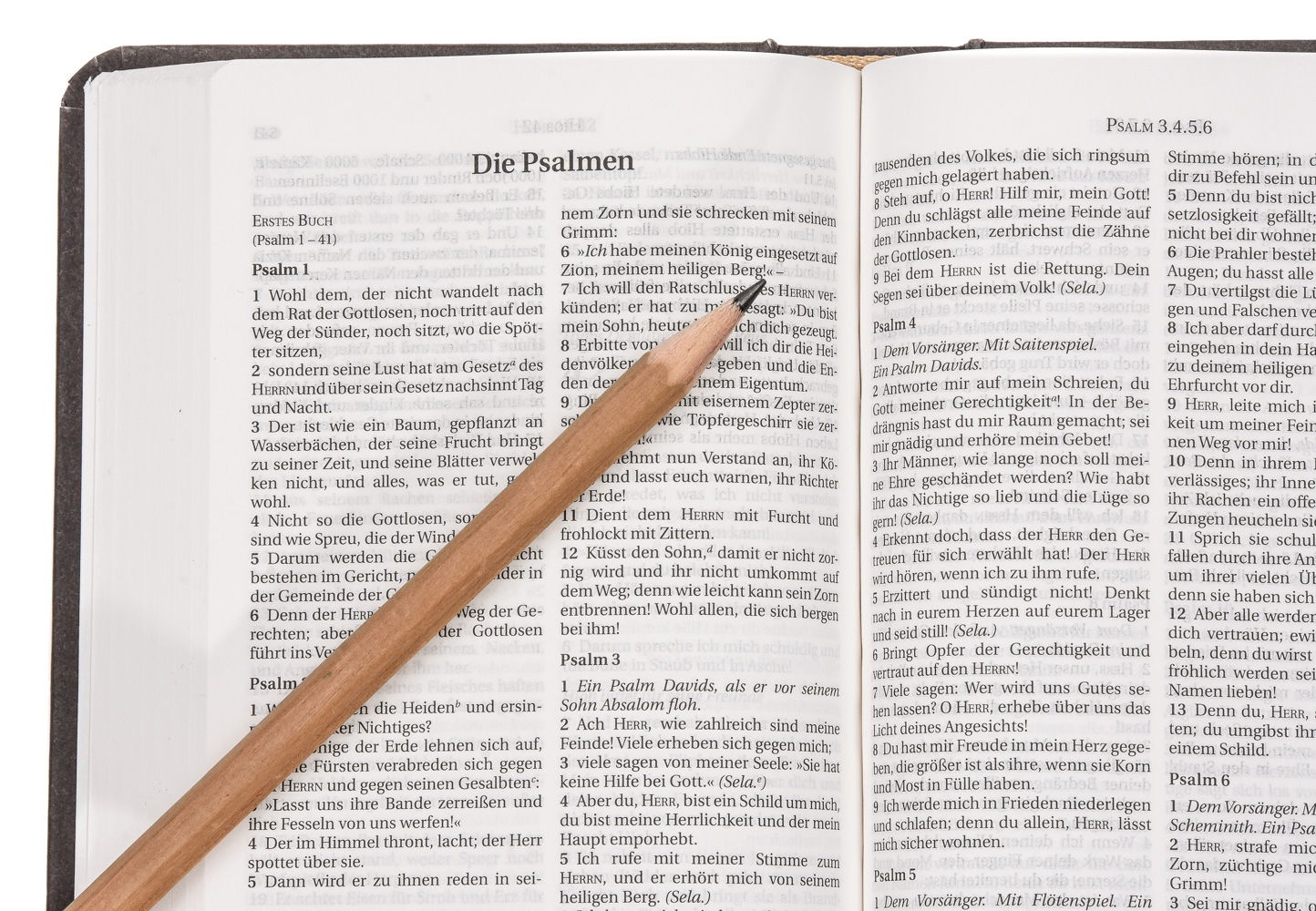 Die Bibel – Schlachter 2000 (Miniaturausgabe in Antikleder-Optik)