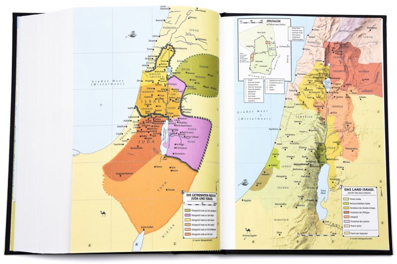 Schlachter 2000 - Großdruckausgabe