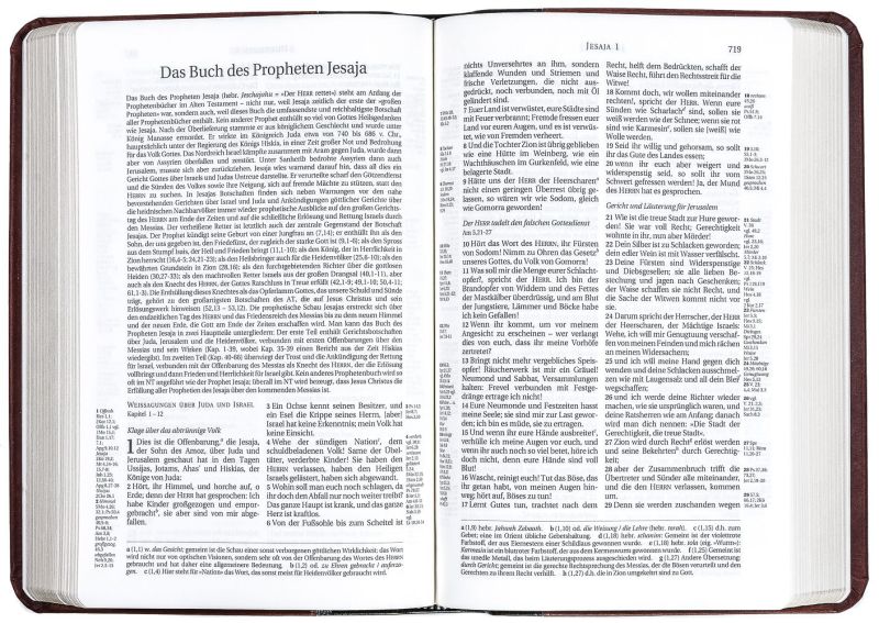 Schlachter 2000 - PU-Einband, grau/braun / Fadenheftung